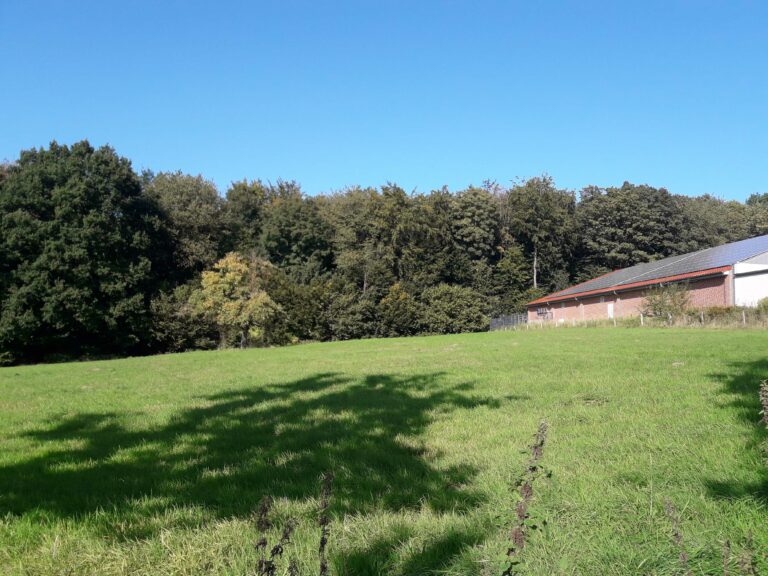 Klare Kante gegen erneute Flächenversiegelung im Landschaftsschutzgebiet