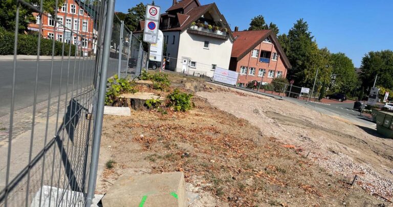 Neue Anfrage zur Baumfällung am Mühlentorzentrum